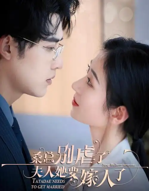 私人小影院年代生活剧城南旧事簿海报